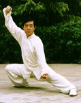 grand master chen zheng lei, nineteenth generation of the chen family, eleventh generation of tai ji quan chen style