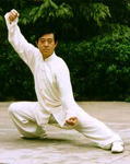 grande maestro chen zheng lei, decimonona generacion de la familia chen, undecima generacion del taiji quan estilo chen