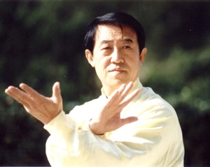 grand matre chen zheng lei