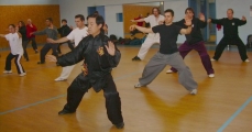 Grande Maestro Chen Zheng Lei in Grenoble 2007