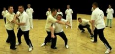 Video clips Tuishou lessons in Grenoble