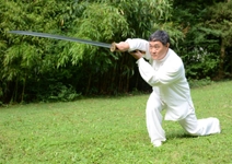 maestro wen, dodicesima generazione di tai ji quan stile chen, allievo interno del grande maestro chen zhenglei